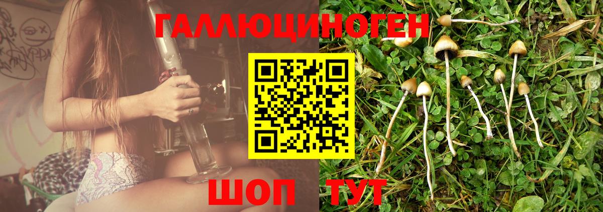 Псилоцибиновые грибы MAGIC MUSHROOMS Бахчисарай