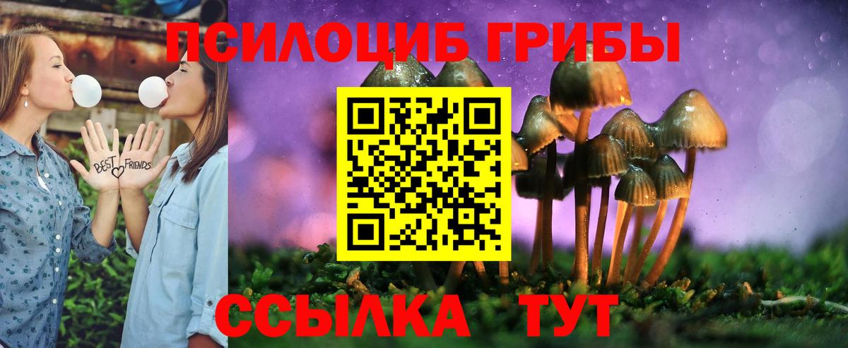 Бахчисарай  Псилоцибиновые грибы GOLDEN TEACHER  Вход с VPN 